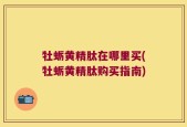 牡蛎黄精肽在哪里买(牡蛎黄精肽购买指南)