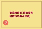 姜黄精种苗(种植姜黄的技巧与要点详解)