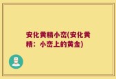 安化黄精小峦(安化黄精：小峦上的黄金)