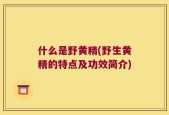 什么是野黄精(野生黄精的特点及功效简介)