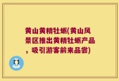 黄山黄精牡蛎(黄山风景区推出黄精牡蛎产品，吸引游客前来品尝)