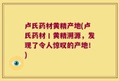 卢氏药材黄精产地(卢氏药材丨黄精溯源，发现了令人惊叹的产地！)