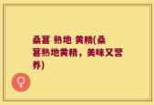 桑葚 熟地 黄精(桑葚熟地黄精，美味又营养)