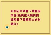 松桃正大镇林下黄精促致富(松桃正大镇科技援助林下黄精助力乡村振兴)