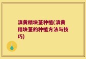 滇黄精块茎种植(滇黄精块茎的种植方法与技巧)