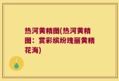 热河黄精图(热河黄精图：赏彩缤纷瑰丽黄精花海)