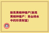 新晃黄精种植户(新晃黄精种植户：青山绿水中的珍贵财富)
