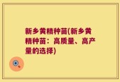 新乡黄精种苗(新乡黄精种苗：高质量、高产量的选择)