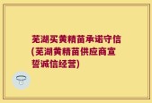 芜湖买黄精苗承诺守信(芜湖黄精苗供应商宣誓诚信经营)