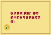 板子黄精(黄精：神奇的中药材与它的医疗价值)