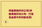 种植黄精药材公司(种植黄精药材公司：打造高品质中药材新选择)