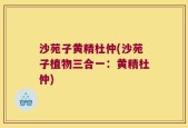 沙苑子黄精杜仲(沙苑子植物三合一：黄精杜仲)