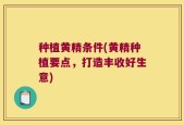种植黄精条件(黄精种植要点，打造丰收好生意)