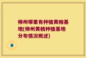 柳州哪里有种植黄精基地(柳州黄精种植基地分布情况概述)