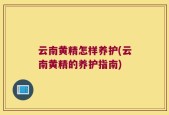 云南黄精怎样养护(云南黄精的养护指南)