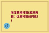 湘潭黄精种苗(湘潭黄精：优质种苗如何选？)