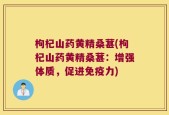 枸杞山药黄精桑葚(枸杞山药黄精桑葚：增强体质，促进免疫力)