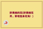 野黄精的花(野黄精花开，草地变身花海！)