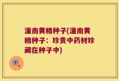 潼南黄精种子(潼南黄精种子：珍贵中药材珍藏在种子中)