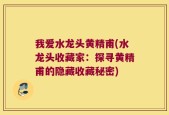 我爱水龙头黄精甫(水龙头收藏家：探寻黄精甫的隐藏收藏秘密)