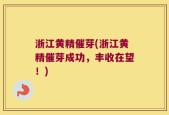 浙江黄精催芽(浙江黄精催芽成功，丰收在望！)