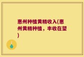 惠州种植黄精收入(惠州黄精种植，丰收在望)