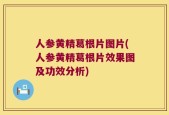 人参黄精葛根片图片(人参黄精葛根片效果图及功效分析)