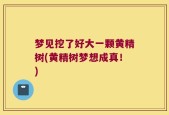 梦见挖了好大一颗黄精树(黄精树梦想成真！)