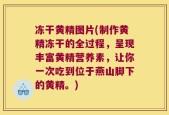 冻干黄精图片(制作黄精冻干的全过程，呈现丰富黄精营养素，让你一次吃到位于燕山脚下的黄精。)