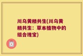 川乌黄精共生(川乌黄精共生：草本植物中的组合瑰宝)