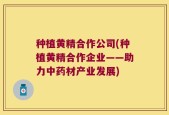 种植黄精合作公司(种植黄精合作企业——助力中药材产业发展)