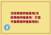 沈阳黄精种植基地(沈阳黄精种植基地：打造中国黄精种植新地标)