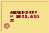 云阳黄精种(云阳黄精种：滋补佳品，药食两用)