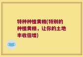 特种种植黄精(特别的种植黄精，让你的土地丰收倍增)