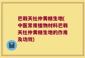 巴戟天杜仲黄精生地(中医常用植物材料巴戟天杜仲黄精生地的作用及功效)