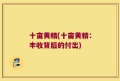 十亩黄精(十亩黄精：丰收背后的付出)
