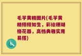 毛芋黄精图片(毛芋黄精栩栩如生，彩绘珊瑚格花器，高档典雅实用易搭)