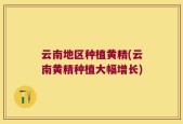 云南地区种植黄精(云南黄精种植大幅增长)