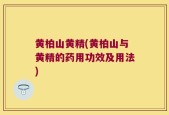 黄柏山黄精(黄柏山与黄精的药用功效及用法)