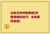 水田怎样种植黄精(种植黄精的技巧：水田栽培指南)