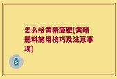 怎么给黄精施肥(黄精肥料施用技巧及注意事项)