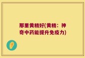 那里黄精好(黄精：神奇中药能提升免疫力)