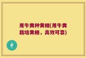 用牛粪种黄精(用牛粪栽培黄精，高效可靠)