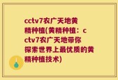 cctv7农广天地黄精种植(黄精种植：cctv7农广天地带你探索世界上最优质的黄精种植技术)