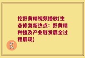挖野黄精视频播放(生态修复新热点：野黄精种植及产业链发展全过程展现)