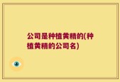 公司是种植黄精的(种植黄精的公司名)