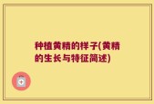 种植黄精的样子(黄精的生长与特征简述)