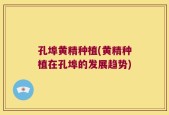 孔埠黄精种植(黄精种植在孔埠的发展趋势)