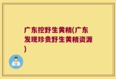 广东挖野生黄精(广东发现珍贵野生黄精资源)