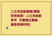 二三月还能黄精(黄精仍可收获！二三月收割季节  不要错过黄精最佳采摘时机)